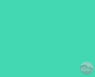 Tula Pink - solids - Julep