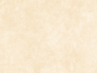 Maywoodstudio - shadow play wt2 antique cream