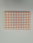 Citrus grid orange