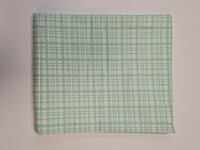 *coupon* dot weave mint 