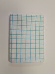 ruit blauw 