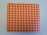 *coupon* picnic plaid 
