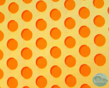 *coupon* lakehouse - disc-o-dot mango