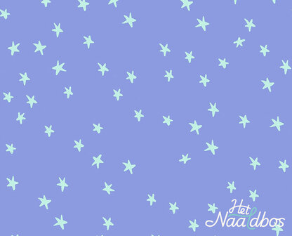 Ruby Star Society - starry - dusk