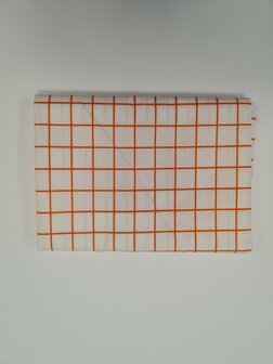 Citrus grid orange