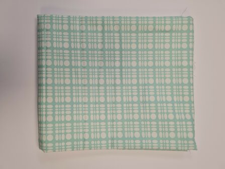 *coupon* dot weave mint 