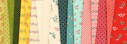 EQP textiles - back in the day - Keys watermelon