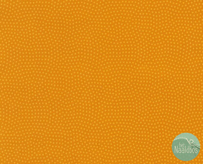 *coupon* spin mango