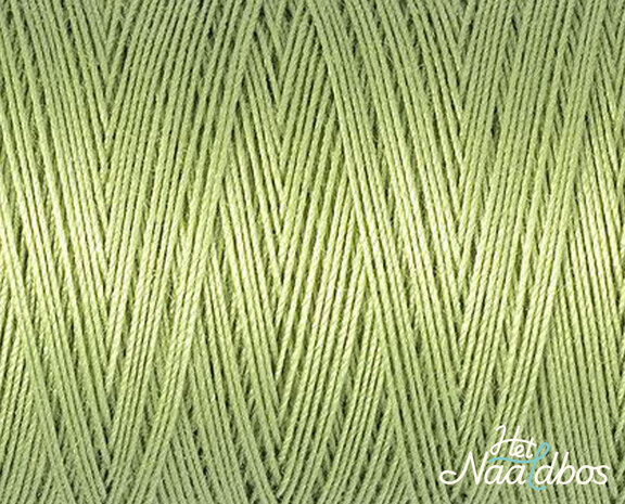 G&uuml;termann katoengaren 9837 Asparagus