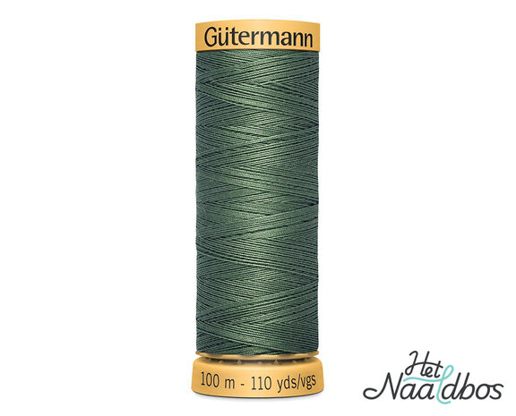 G&uuml;termann katoengaren 8724 Eucalyptus