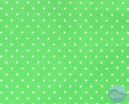 Michael Miller - Pinhead fern