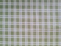 *coupon* lakehouse - retro plaid groen 