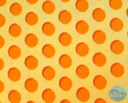 *coupon* lakehouse - disc-o-dot mango