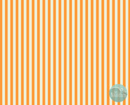 Tula Pink - Tent stripe - Begonia